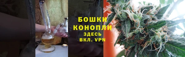 шишки Карпинск