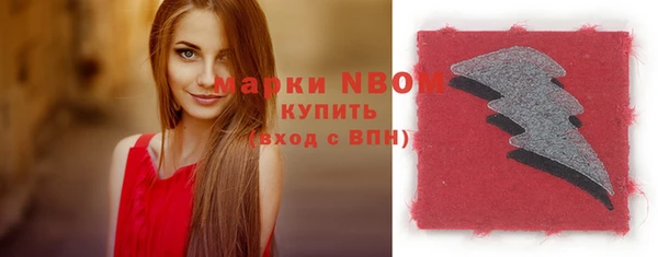 шишки Карпинск