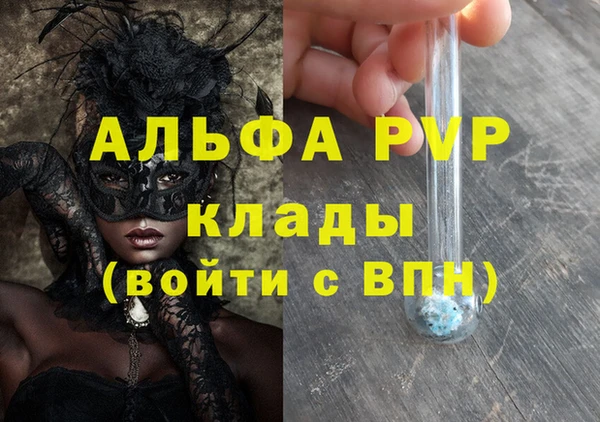 шишки Карпинск