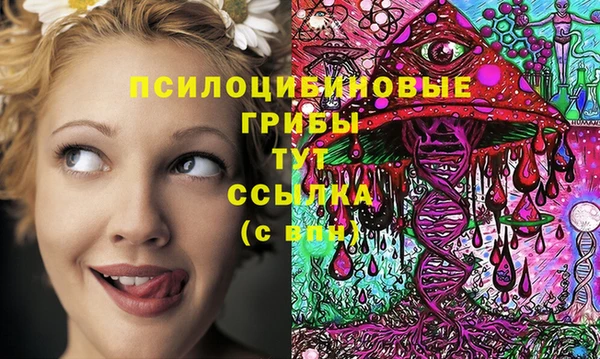 прущий лед Карталы